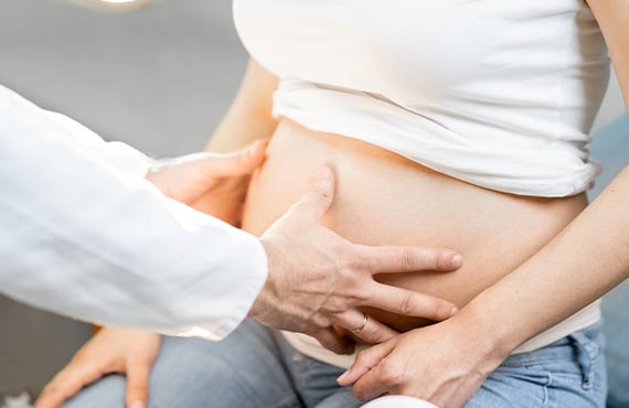 armoniance preg 1